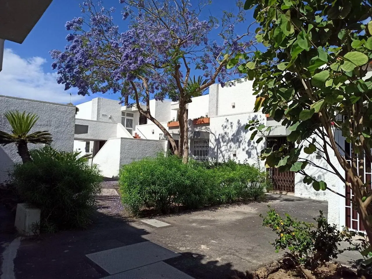 Nice Studio In The South Of Tenerife In The Costa Del Silencio 0*,