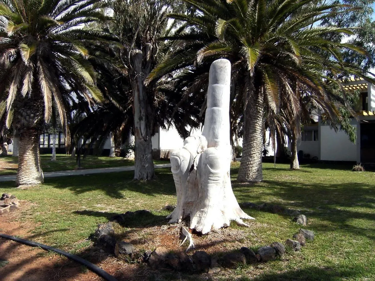 Nice Studio In The South Of Tenerife In The Costa Del Silencio Espanha